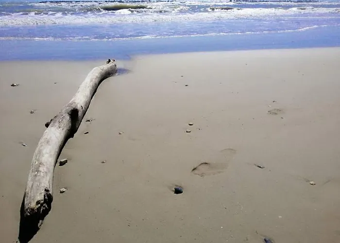 Cupramare Apartment *